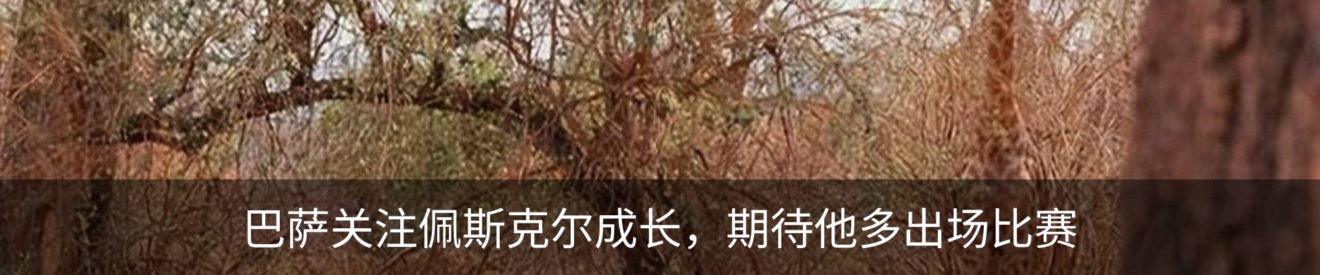 新闻中心